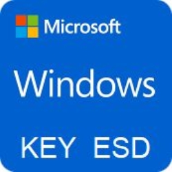 Windows 10 Professional 32/64 Bit Esd Licenza Elettronica