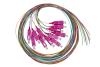 Link SET 12 CAVI PIGTAIL FIBRA OTTICA COLORATI CONNETTORI SC OM4 SIMPLEX 2 MT (LKSC12PT4)